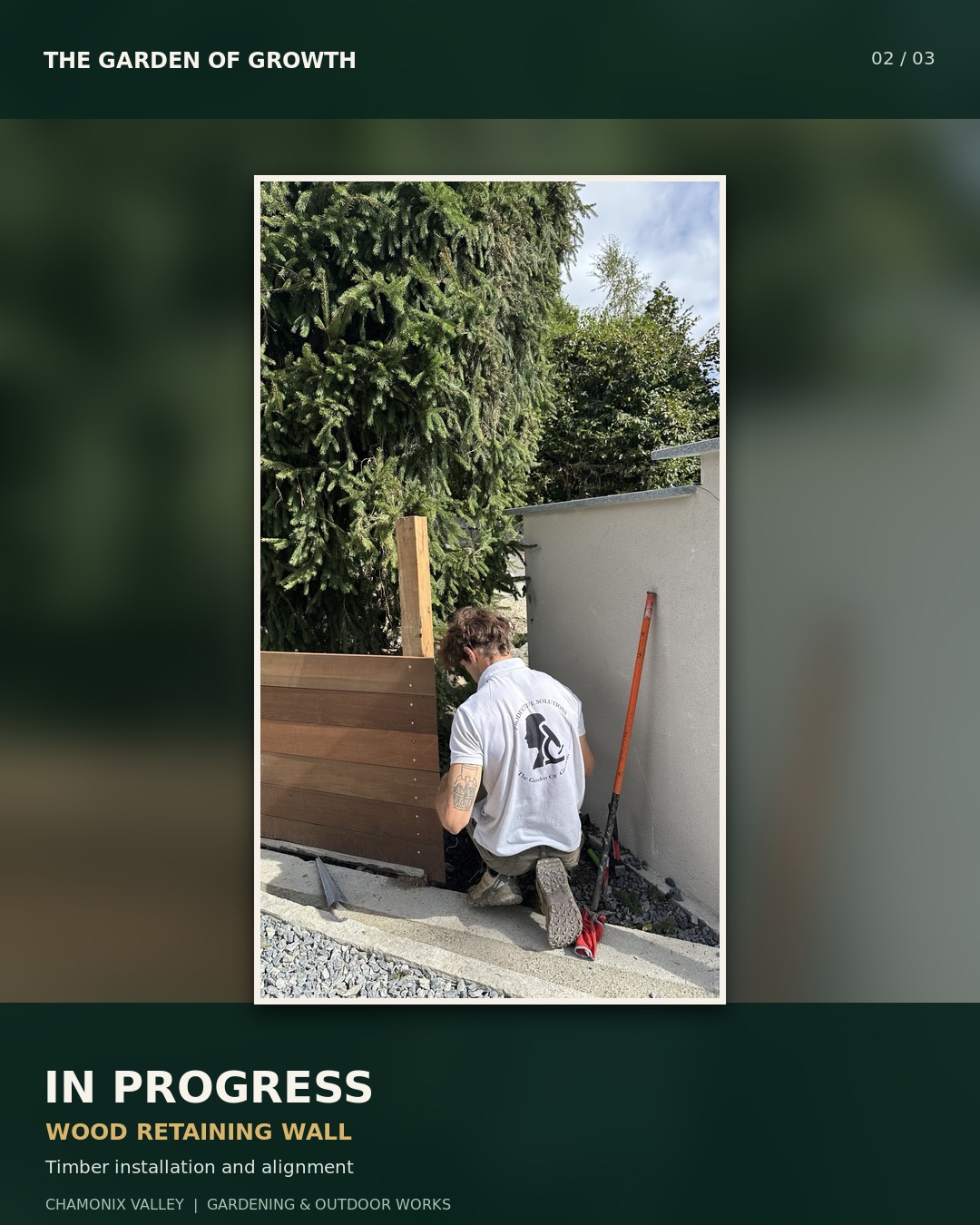Timber retaining wall during construction